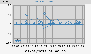 Wind Vector