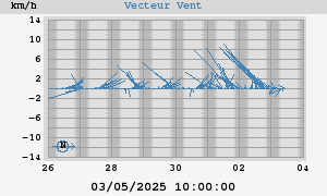 Wind Vector