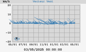 Wind Vector